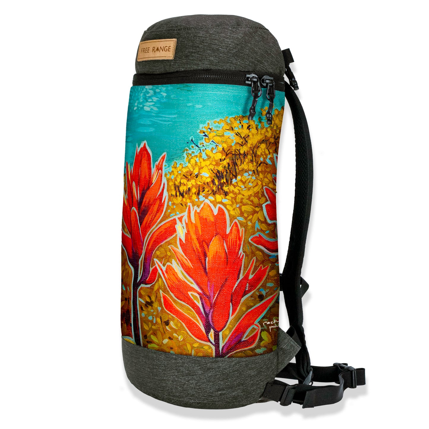 walking daypack