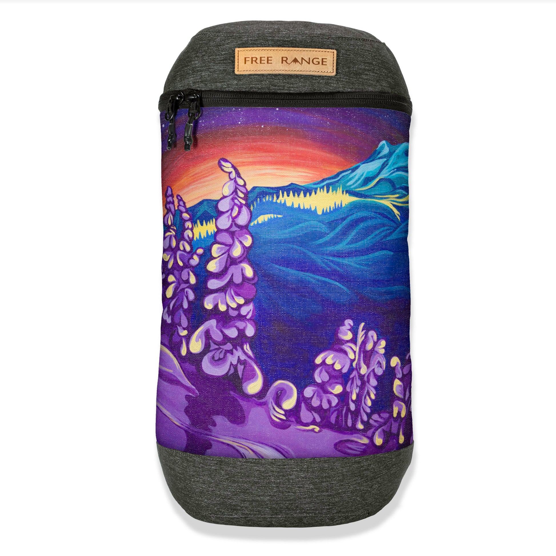 laptop daypack